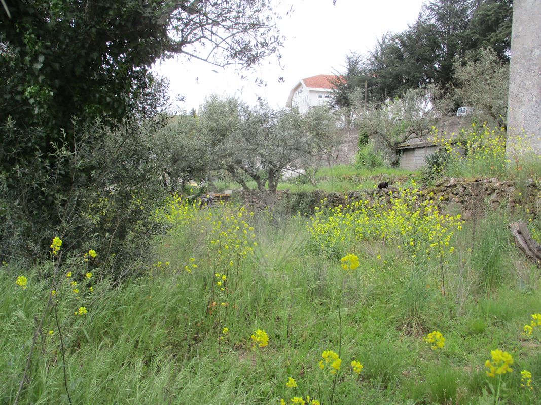 Casa de 2 dormitorios en Celorico da Beira, Portugal No. 30012