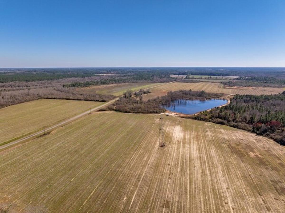  Land in Tifton, USA No. 517539