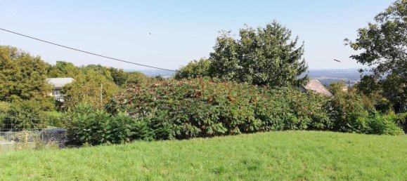 877m² Land in Strass in Steiermark, Austria No. 81237 3