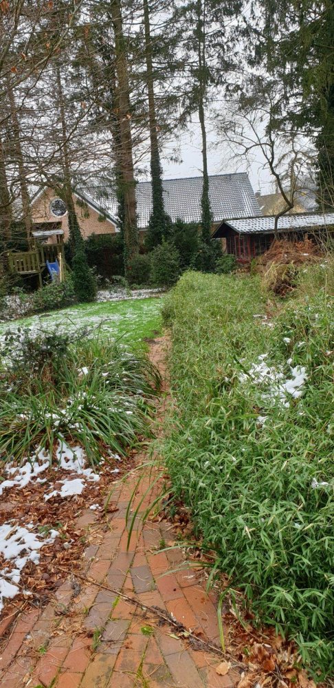 Земельный участок в Ольденбург, Германия № 218306