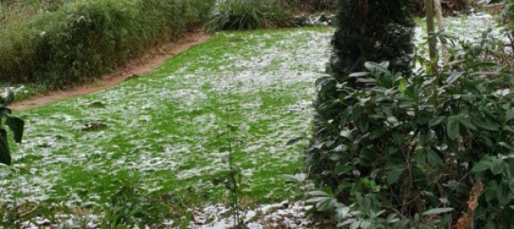 Земельный участок в Ольденбург, Германия № 218306 2