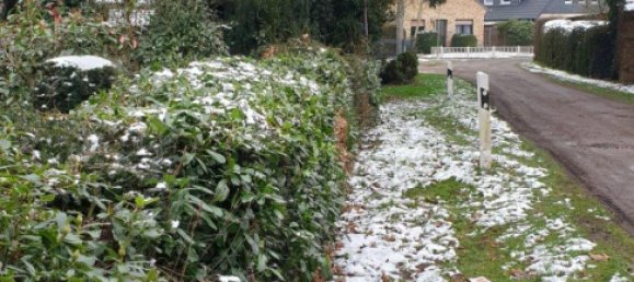 Земельный участок в Ольденбург, Германия № 218306 4