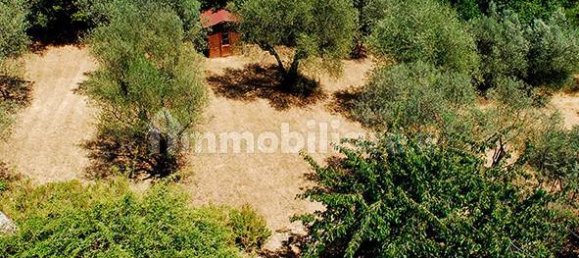 3 غرف نوم منزل في Rignano sull'Arno, Italy رقم 42190 22