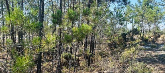 Земельный участок 802м² в Алкасер ду Сал, Португалия № 145262 5