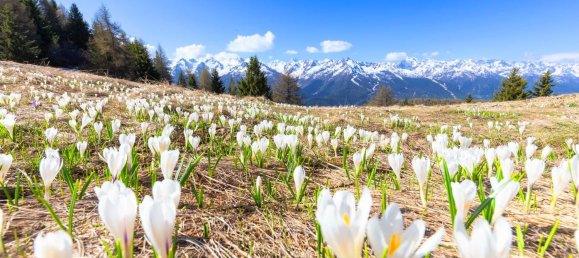 2 غرف نوم شقة في Aprica, Italy رقم 373957 31