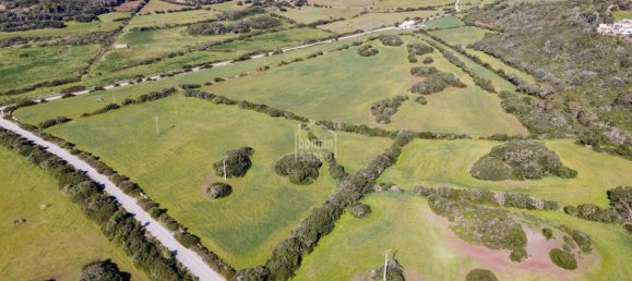 3 bedrooms Finca in Mahon, Spain No. 5236 19