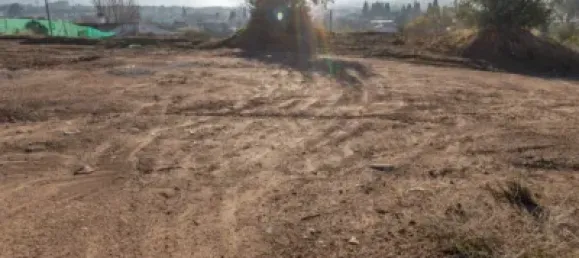 Grundstück in Peligros, Spain 2918m², Nr. 175271 14