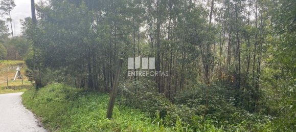 580m² Land in Marco de Canaveses, Portugal No. 56129 4