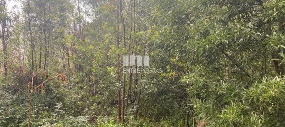 580m² Land in Marco de Canaveses, Portugal No. 56129 21