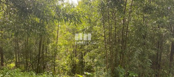 580m² Land in Marco de Canaveses, Portugal No. 56129 8