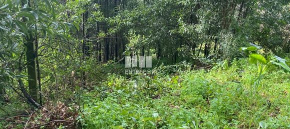 580m² Land in Marco de Canaveses, Portugal No. 56129 29