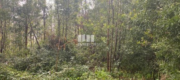 580m² Land in Marco de Canaveses, Portugal No. 56129 25