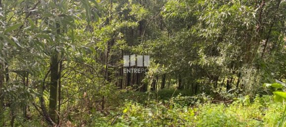 580m² Land in Marco de Canaveses, Portugal No. 56129 11