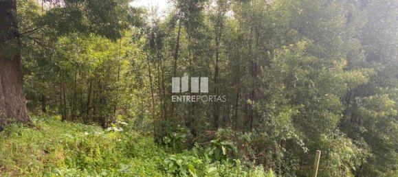 580m² Land in Marco de Canaveses, Portugal No. 56129 3