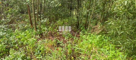 580m² Land in Marco de Canaveses, Portugal No. 56129 14