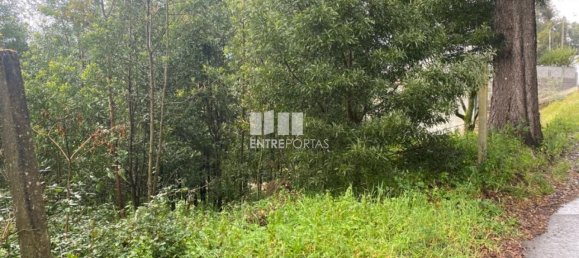 580m² Land in Marco de Canaveses, Portugal No. 56129 17