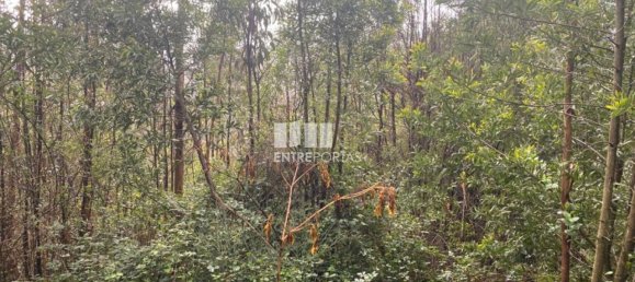 580m² Land in Marco de Canaveses, Portugal No. 56129 12