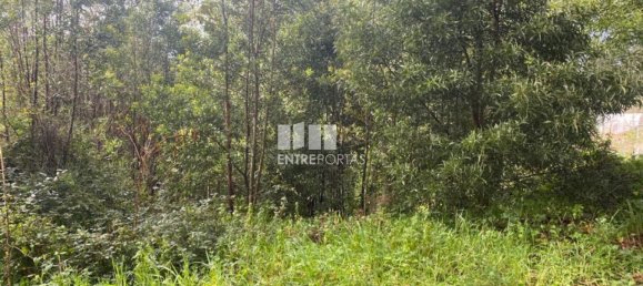 580m² Land in Marco de Canaveses, Portugal No. 56129 2