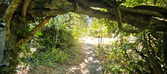 Casa T3 em Saint-Yrieix-la-Perche, France N.º 301930 15