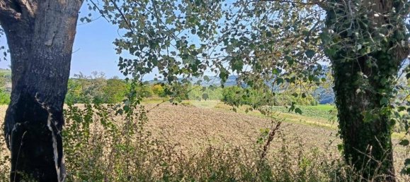 Дом с 3 спальнями в Ронкофреддо, Италия № 378581 17