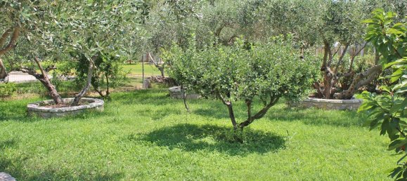 2 غرف نوم عقار تجاري في Litochoro, Greece رقم 1916 18