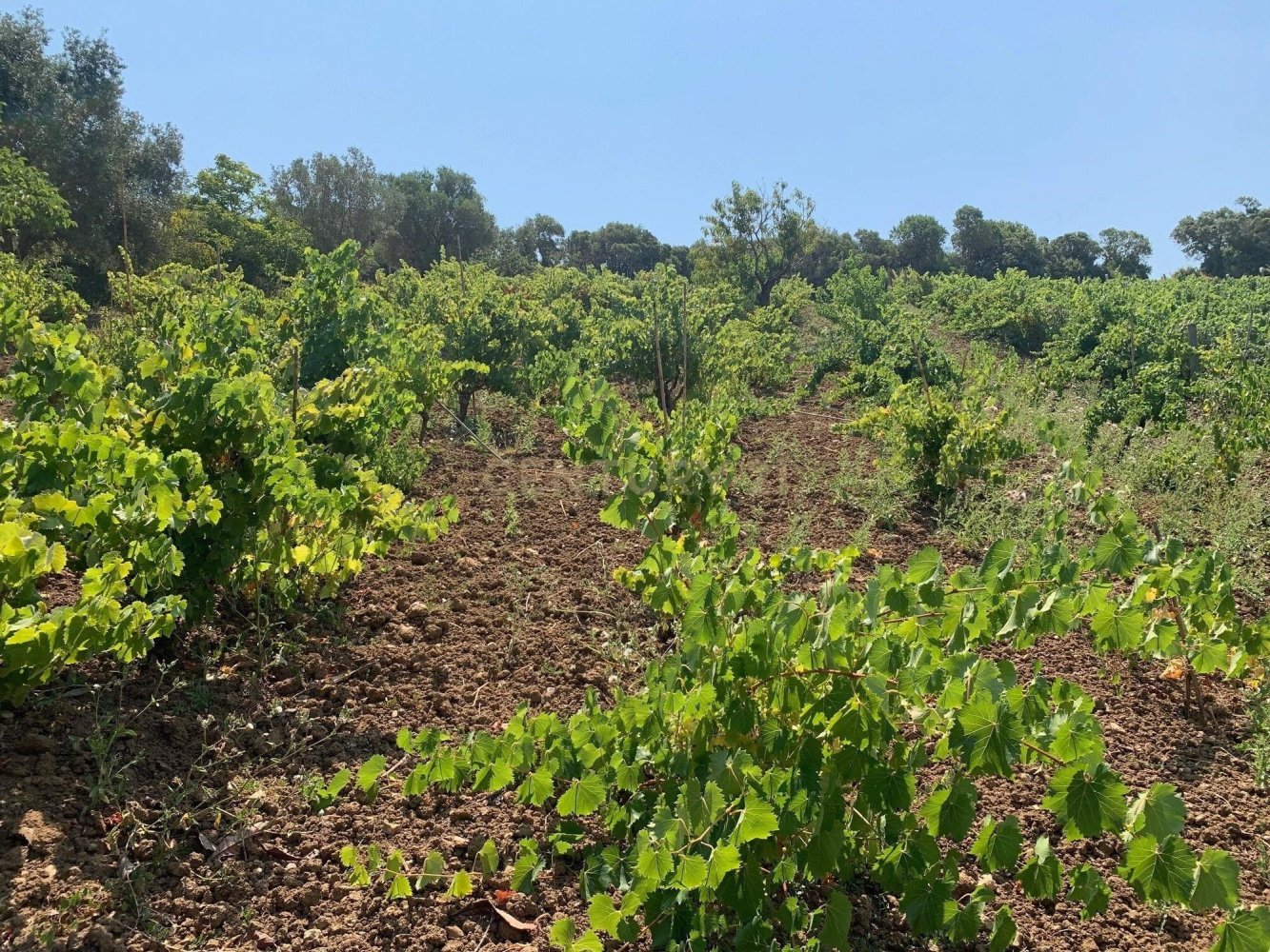 3 bedrooms Castles in Bucelas, Portugal No. 272734