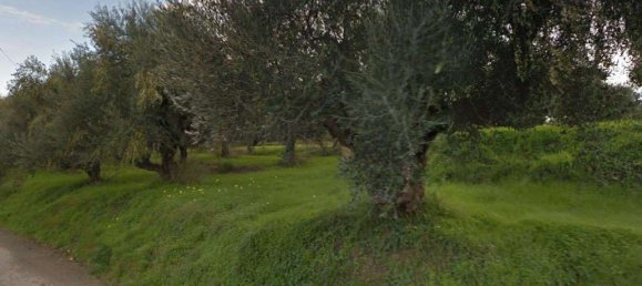  Land in Zakynthos, Greece No. 8528 6