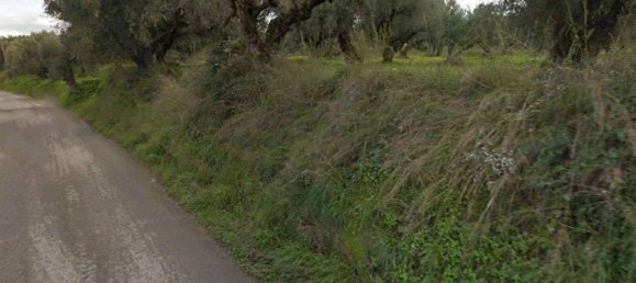  Land in Zakynthos, Greece No. 8528 5