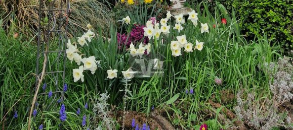 10-Zimmer Gewerbliche Immobilie in Rhein-Pfalz, Germany, Nr. 126817 10