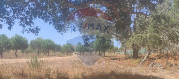 Земельный участок 7м² в Азамбужа, Португалия № 67335 4