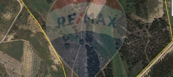 Земельный участок 7м² в Азамбужа, Португалия № 67335 5