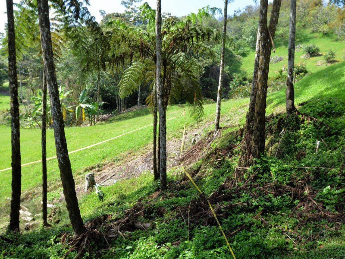 Grundstück in Antioquia, Colombia, Nr. 729