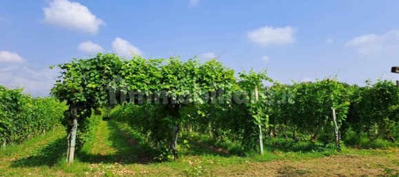 2 bedrooms House in Bagnolo Piemonte, Italy No. 148867 4