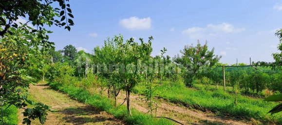 2 bedrooms House in Bagnolo Piemonte, Italy No. 148867 5