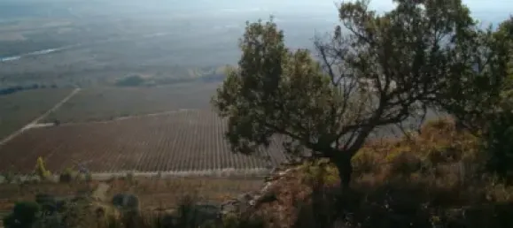 Terrain à Barbastro, Spain 11705m² No. 139525 32