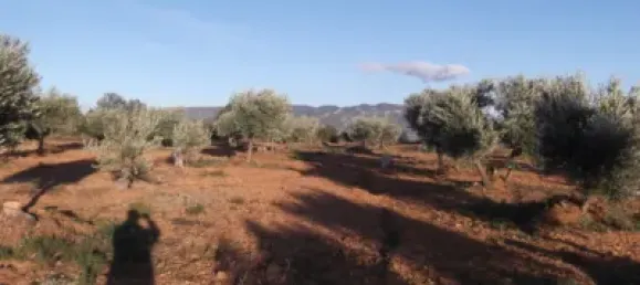 Terrain à Barbastro, Spain 11705m² No. 139525 17