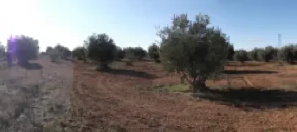 Terrain à Barbastro, Spain 11705m² No. 139525 31