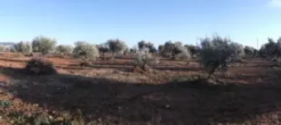 Terrain à Barbastro, Spain 11705m² No. 139525 37