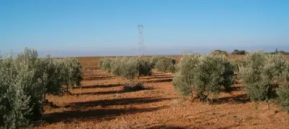 Terrain à Barbastro, Spain 11705m² No. 139525 45