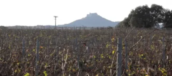 Terrain à Barbastro, Spain 11705m² No. 139525 36