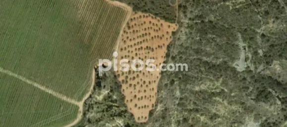 Terrain à Barbastro, Spain 11705m² No. 139525 28