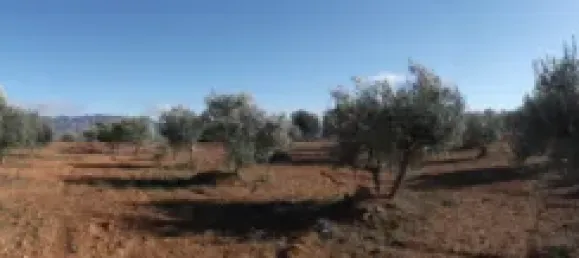 Terrain à Barbastro, Spain 11705m² No. 139525 29