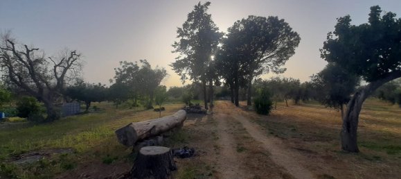 2غرفة منزل في Corigliano d'Otranto, Italy رقم 110180 12