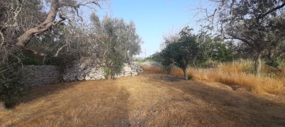 2غرفة منزل في Corigliano d'Otranto, Italy رقم 110180 14