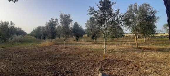 2غرفة منزل في Corigliano d'Otranto, Italy رقم 110180 10