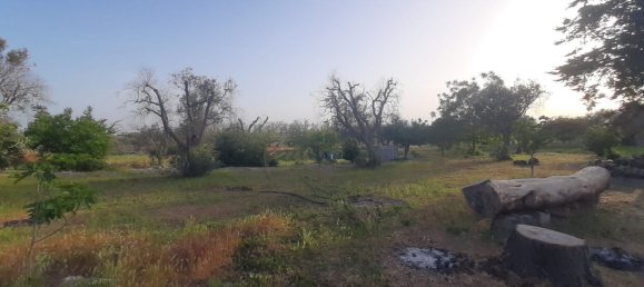 2غرفة منزل في Corigliano d'Otranto, Italy رقم 110180 15