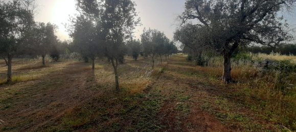 2غرفة منزل في Corigliano d'Otranto, Italy رقم 110180 11