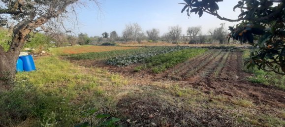 2غرفة منزل في Corigliano d'Otranto, Italy رقم 110180 16