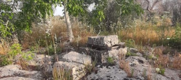 2غرفة منزل في Corigliano d'Otranto, Italy رقم 110180 17