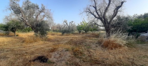 2غرفة منزل في Corigliano d'Otranto, Italy رقم 110180 13